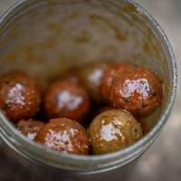 Avid Carp Hookbait Pots
